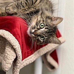 Photo of Sweetie