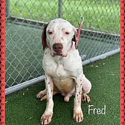Thumbnail photo of FRED #1