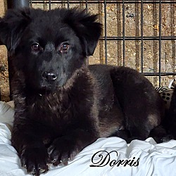 Thumbnail photo of Dorris ~ meet me! #2