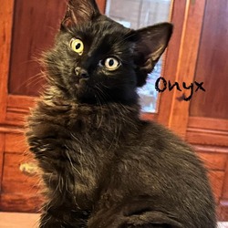 Photo of Onyx Gem