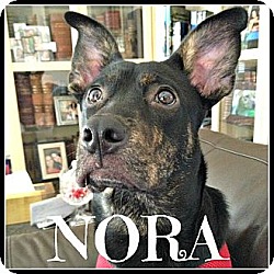 Photo of Nora