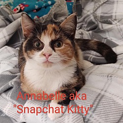 Photo of Annabelle