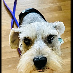 Photo of Freddy