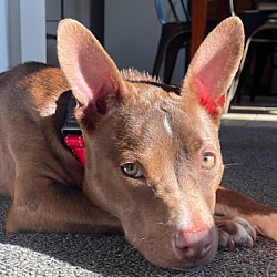 Photo of Eliot