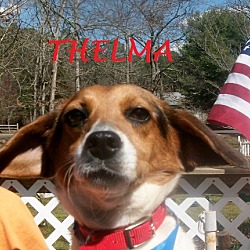 Thumbnail photo of THELMA #1