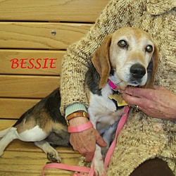 Thumbnail photo of BESSIE #1