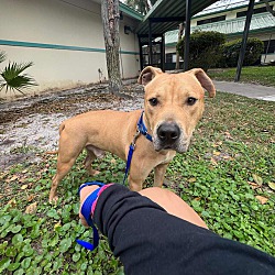 Photo of Junior