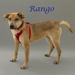 Thumbnail photo of Rango (D24-062) #2