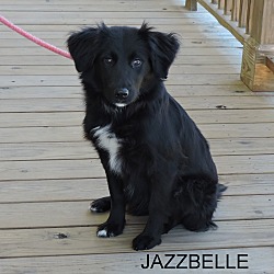 Thumbnail photo of JAZZBELLE #2