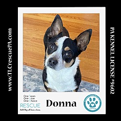 Thumbnail photo of Donna 042024 #2