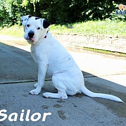 Thumbnail photo of Sailor #3