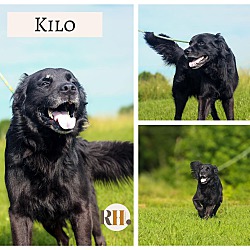 Photo of Kilo