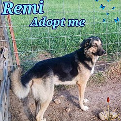 Thumbnail photo of Remi #2