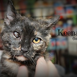 Thumbnail photo of Keena #3