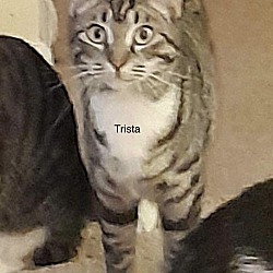 Photo of Trista