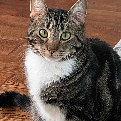 Photo of LENNY