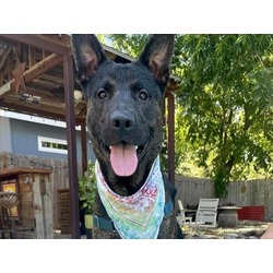 Photo of MAXIMO
