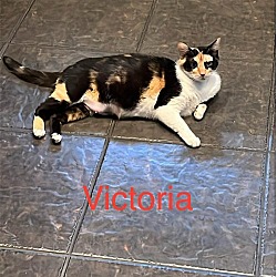 Thumbnail photo of Victoria #2