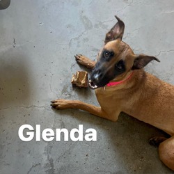 Photo of GLENDA-A2135957