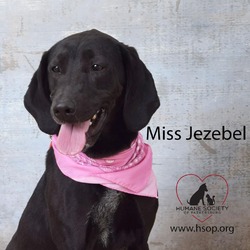 Thumbnail photo of Miss. Jezebel #1