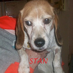 Thumbnail photo of STAN #2
