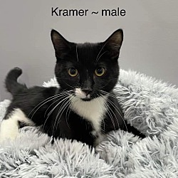 Photo of Kramer