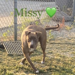 Photo of Missy