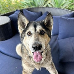 Photo of Maddy