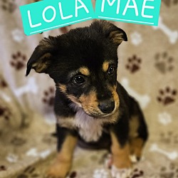 Photo of Lola Mae