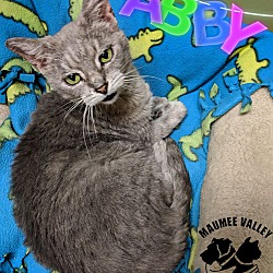 Thumbnail photo of Abby #1