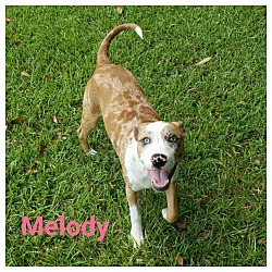 Thumbnail photo of MELODY #2