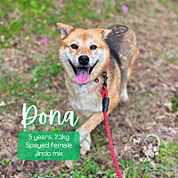 adopt-pet