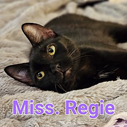 Thumbnail photo of Miss Reggie #2