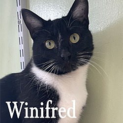 Photo of Winifred