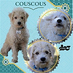 Photo of Couscous (Ritzy)