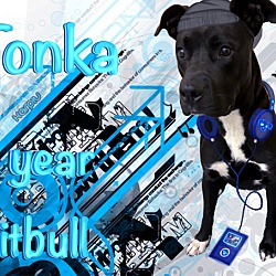 Thumbnail photo of Tonka #2