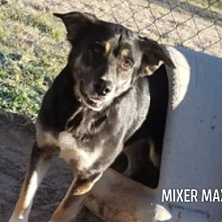Photo of Mixer Max