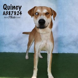 Photo of QUINCY