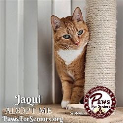 Thumbnail photo of Jacqui #1