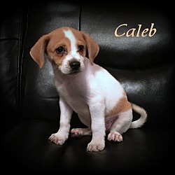 Thumbnail photo of Caleb #1