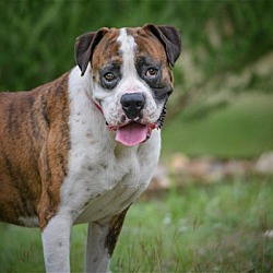 Photo of Rocky