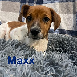 Photo of MAXX