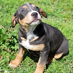 Thumbnail photo of Mary Puppins~adopted! #1