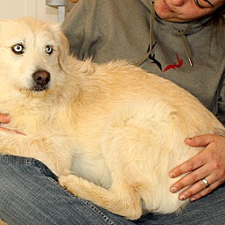 Thumbnail photo of Lady~adopted! #4