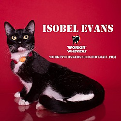 Photo of ISOBEL EVANS