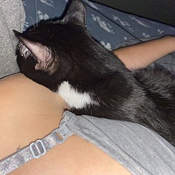 Photo of Charlie