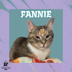 Thumbnail photo of Fannie #1