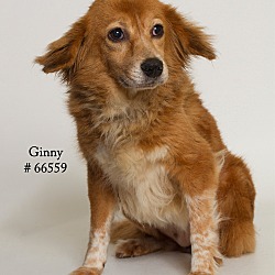 Thumbnail photo of Ginny  (Foster) #1