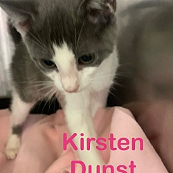 Photo of Kirsten Dunst (Petsupermarket)