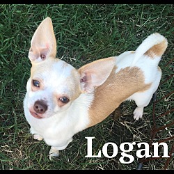 Thumbnail photo of Logan #1